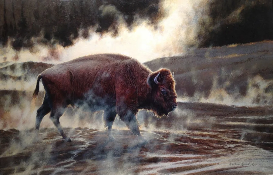 Yellowstone, Matthew Hillier