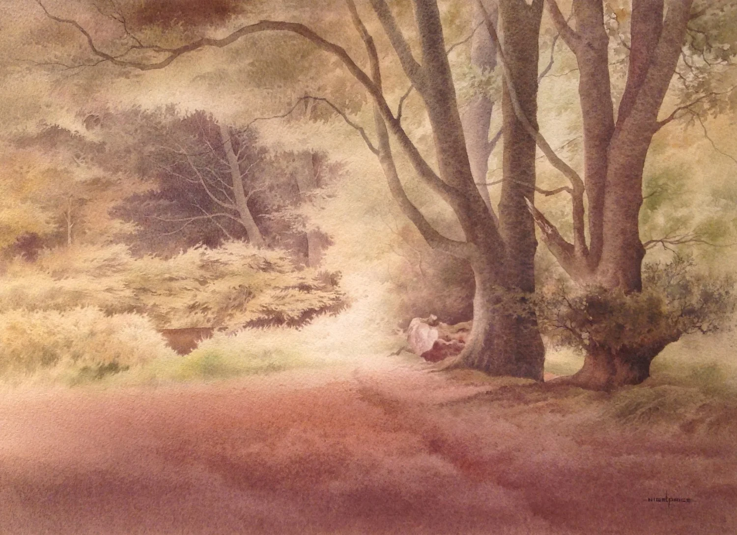 Forest Light, Nigel Price