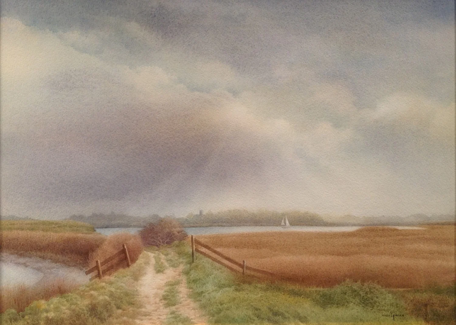 Path Through The Marsh, Nigel Price