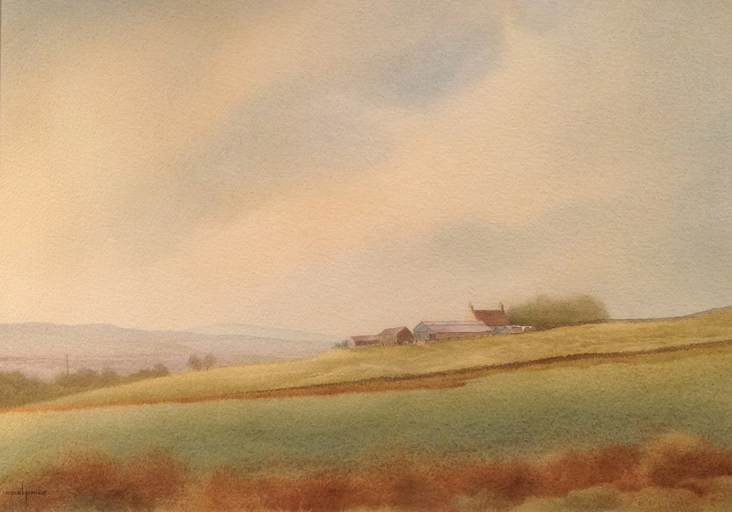 The Dales, Nigel Price