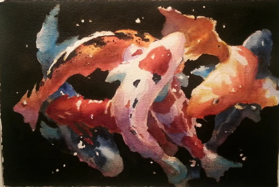 Koi In A Dark Pond