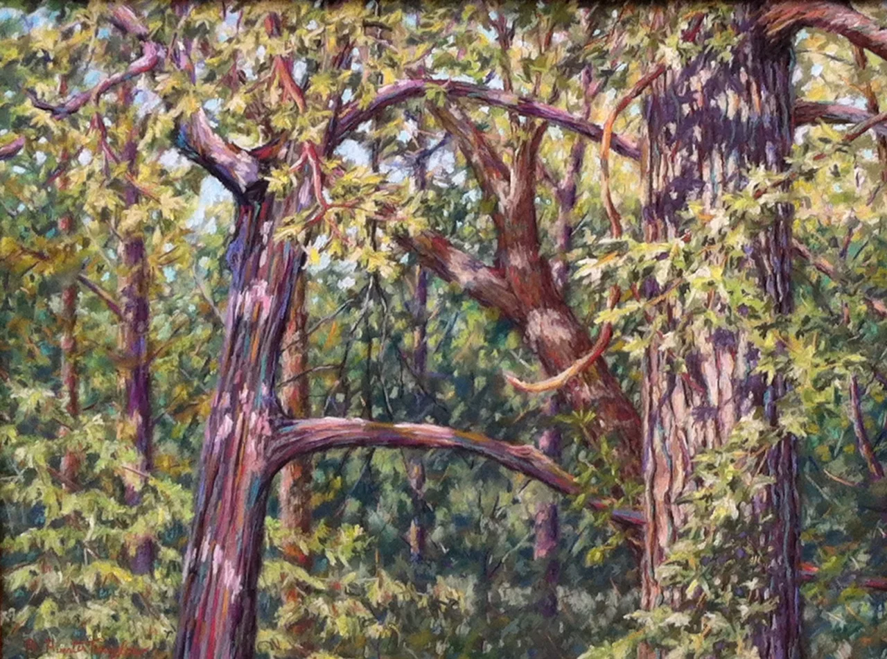  Mid-summer Trees" by A Hunter Taylor