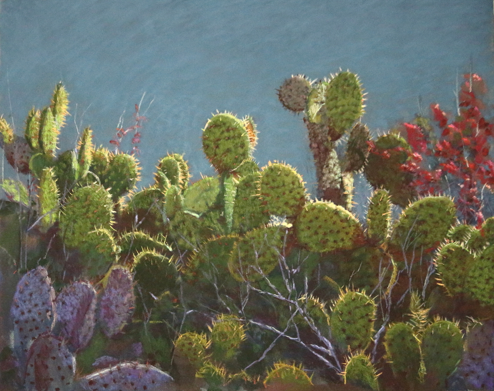  "Newport Bay Cacti" by Lori White