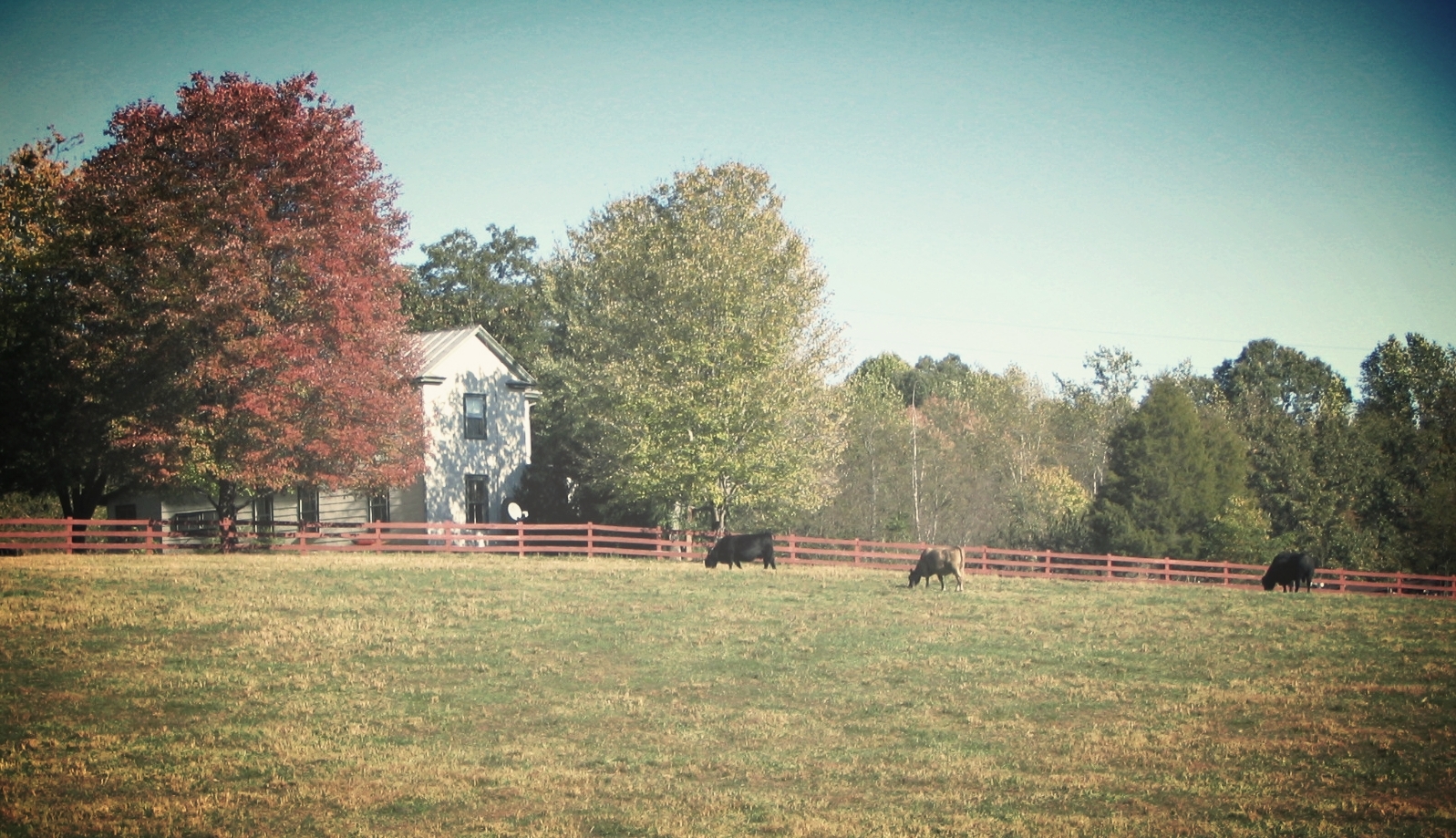 The farmhouse