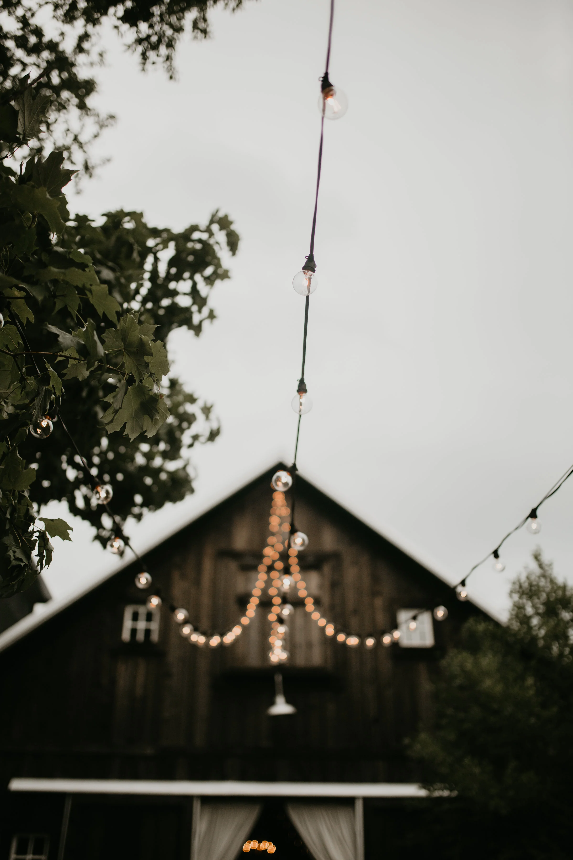 DaltonWedding_201.jpg