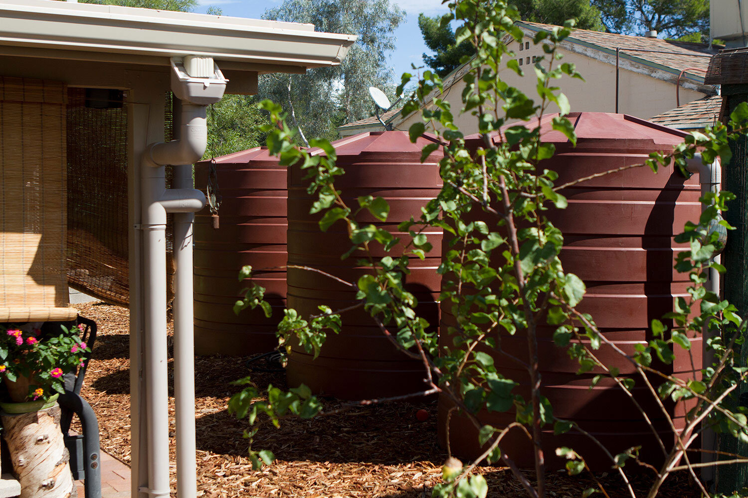 Rainwater Harvesting