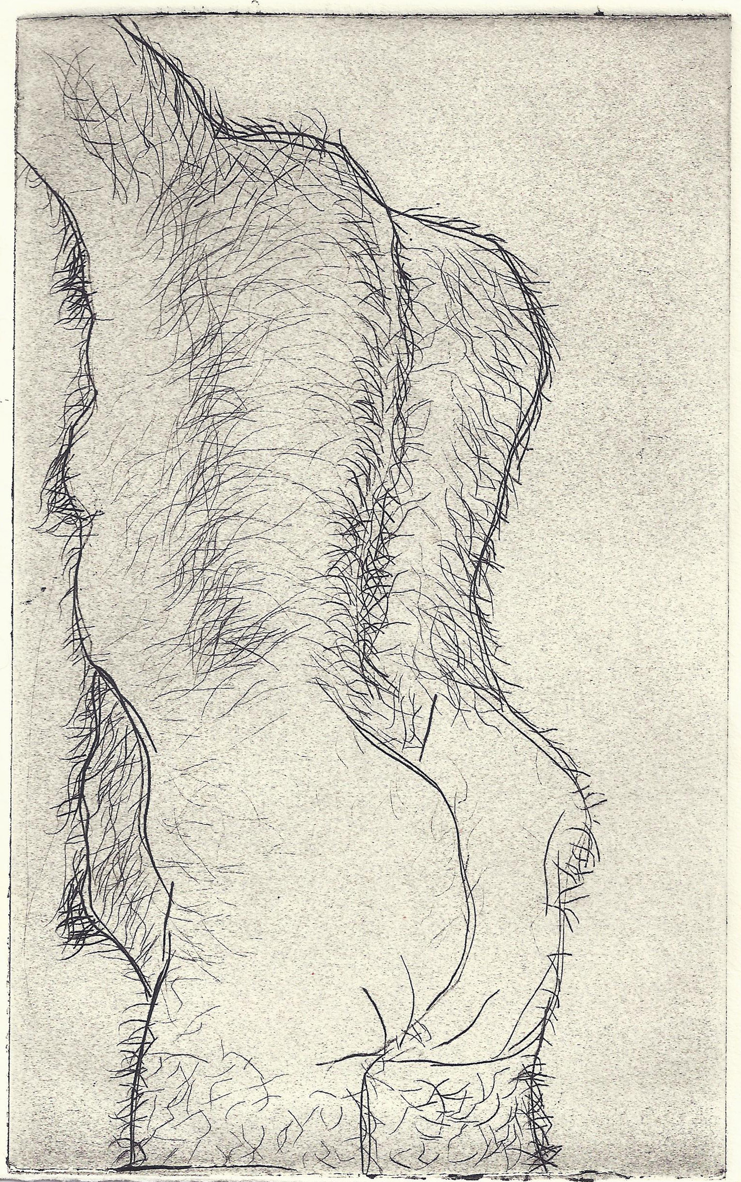Hairy Man, 2011 (Intaglio on komatex 5”x7.5”)