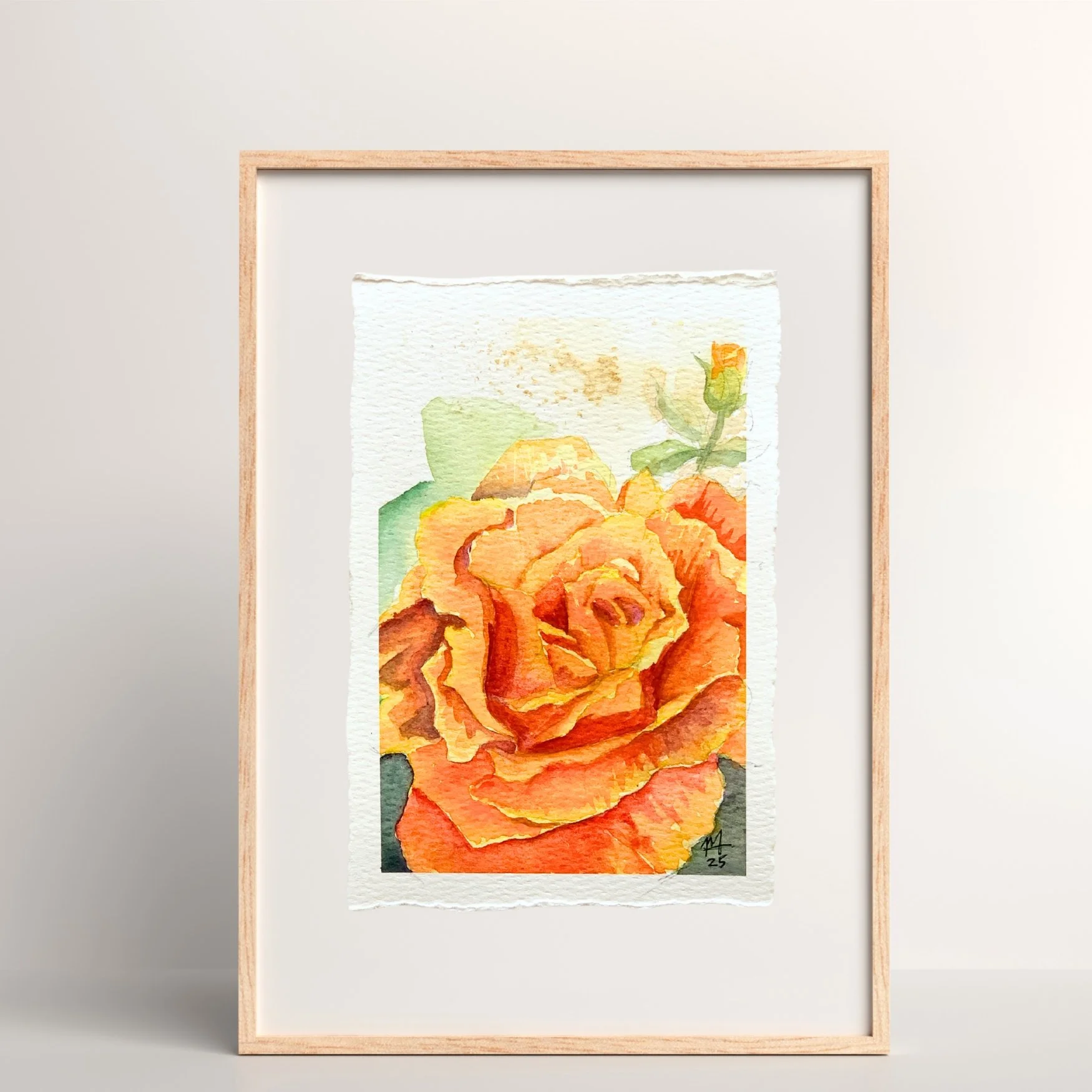 "Rose Solo in Orange" 4x6 watercolor + coffee