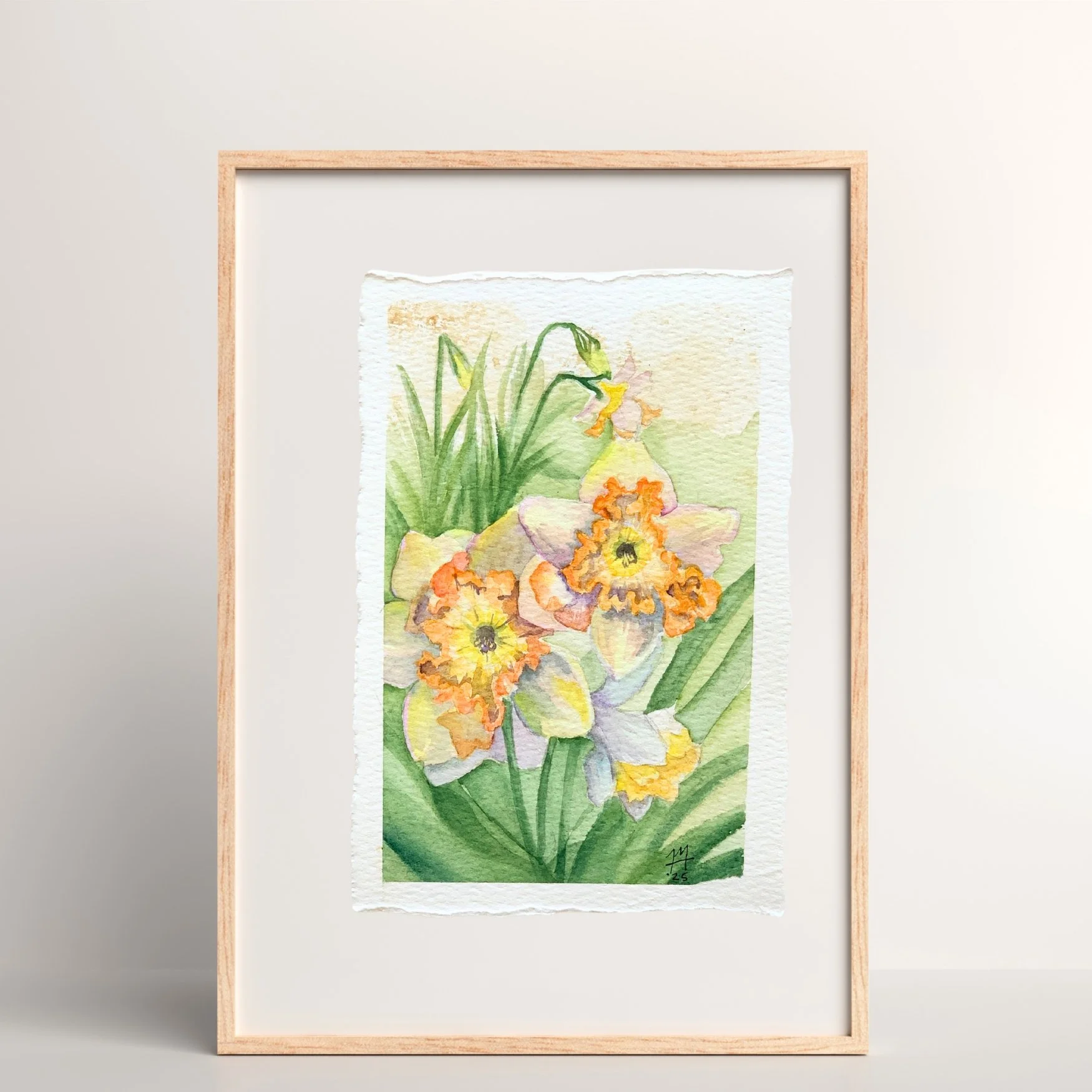 "Daffodil Duet" 4x6 watercolor + coffee