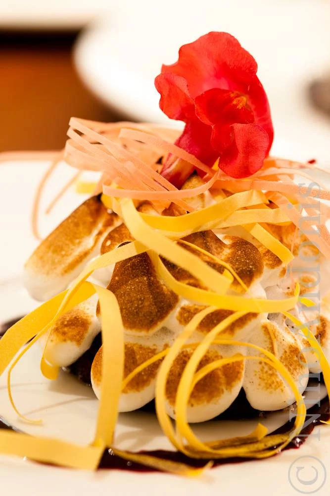 100120_FoodPilot_300.jpg