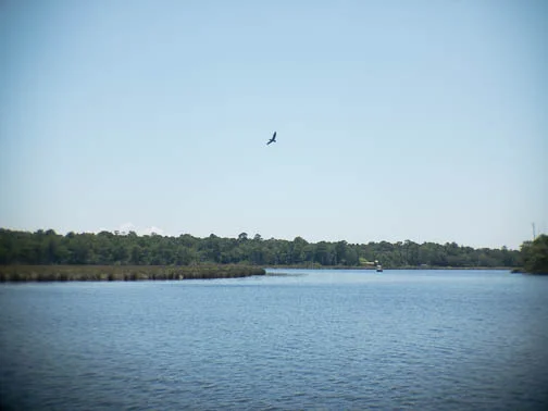Fowl River 2018