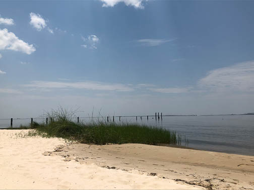Ocean Springs 2018