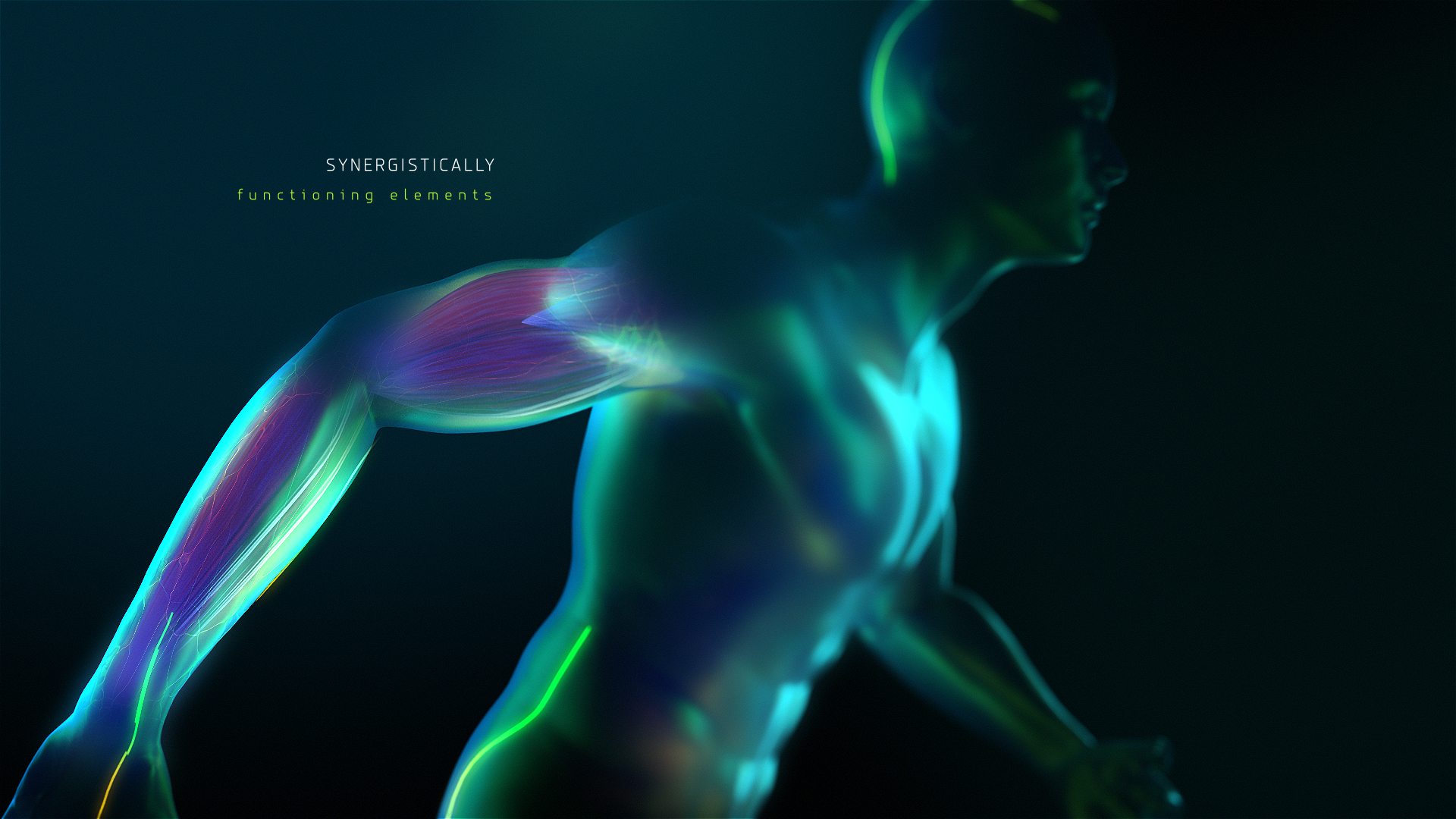 4dabfd50393871.58cfd02b53d97.png