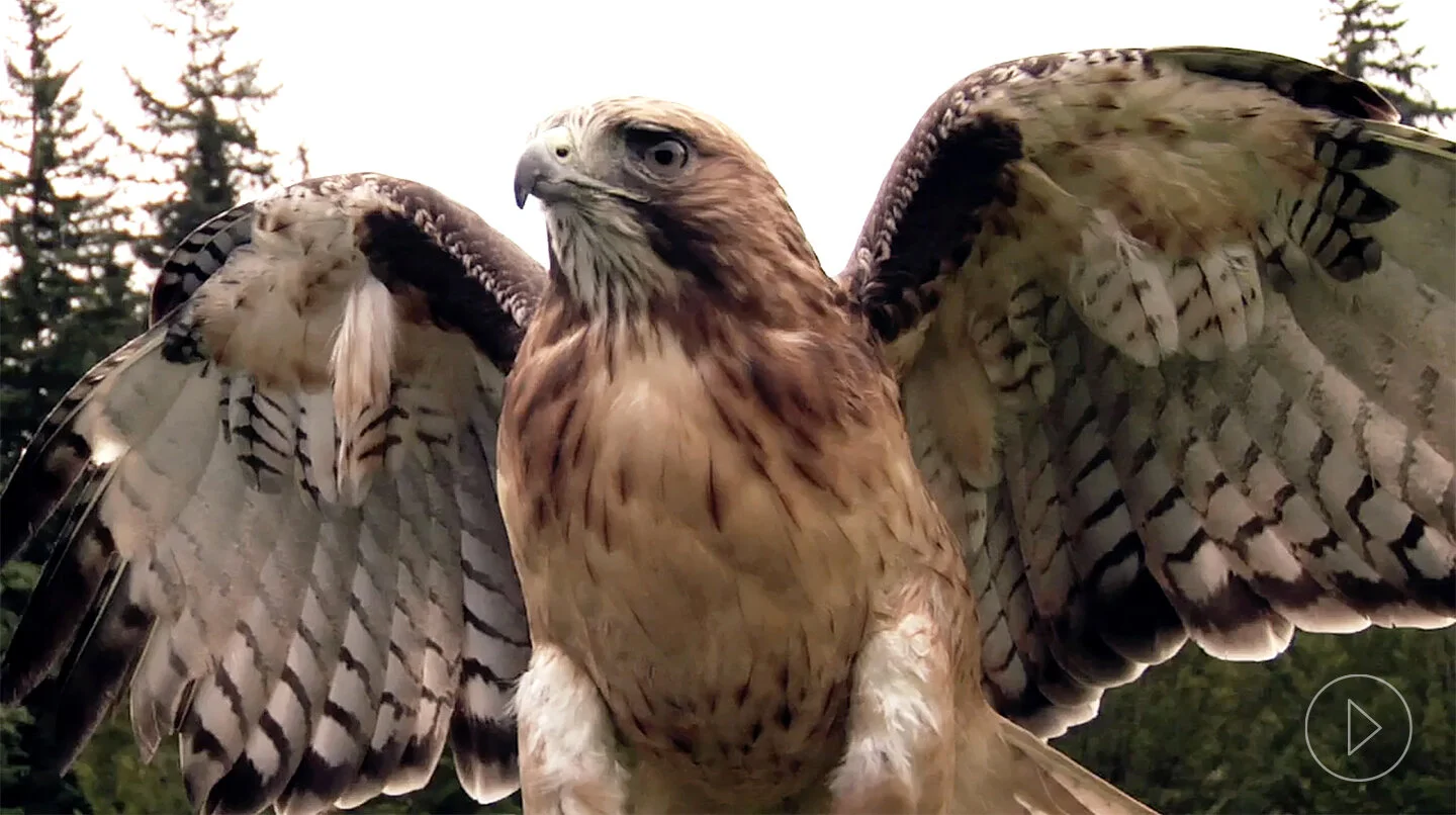 VIDEO: FUTURESTACK OPENER