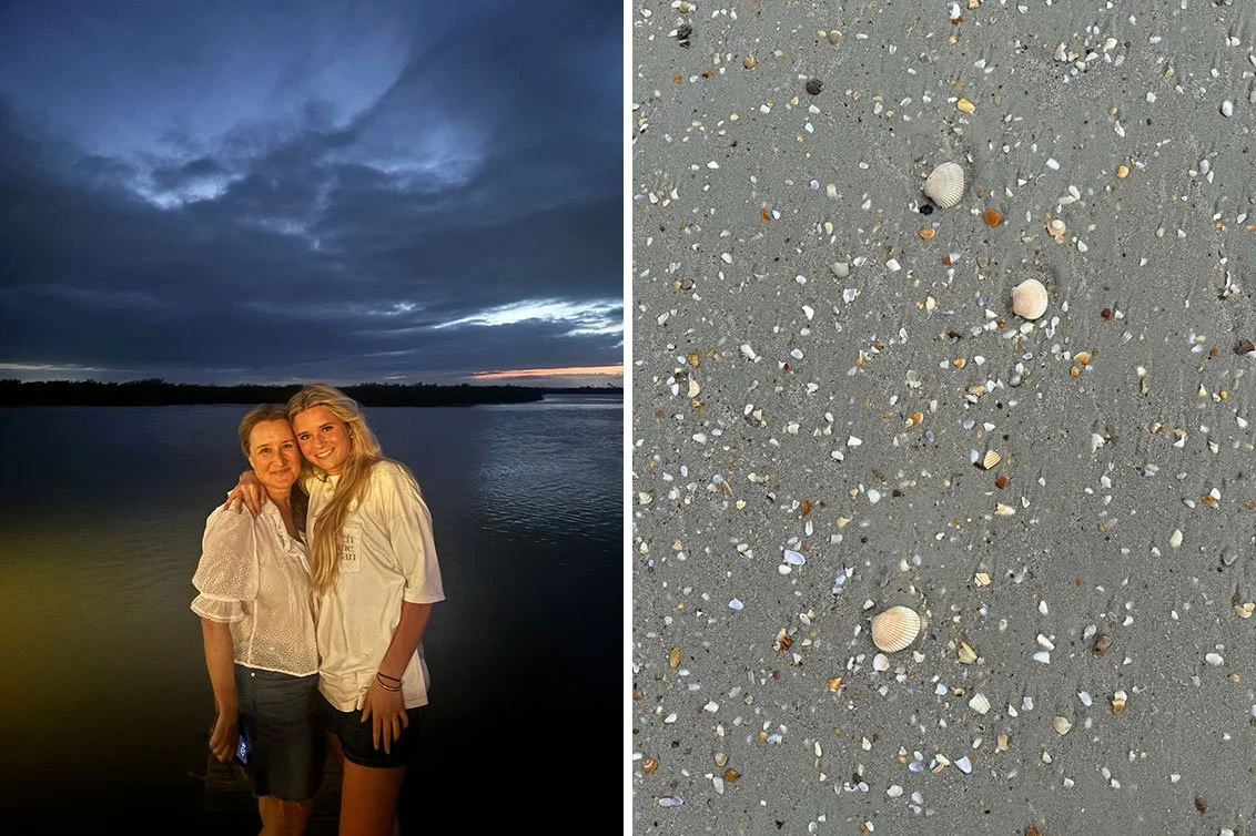 Collected by the Tide, Curated by Design