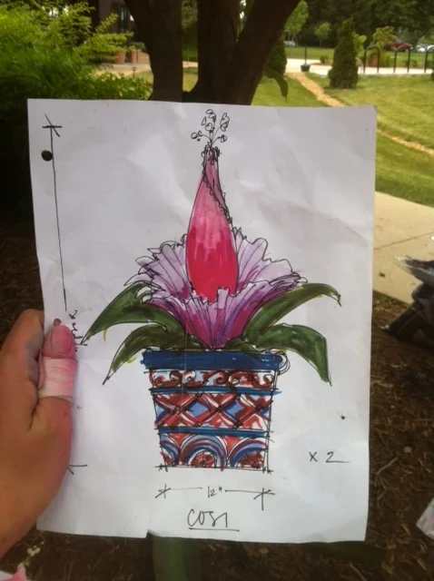 Funky Plant