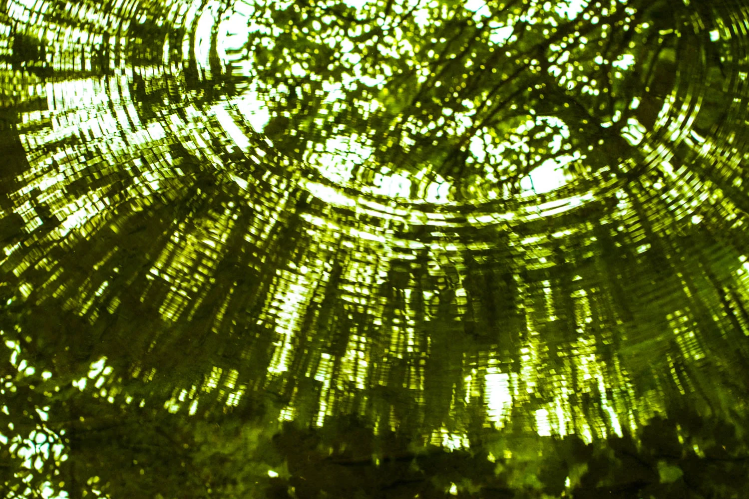 Emerald Splash