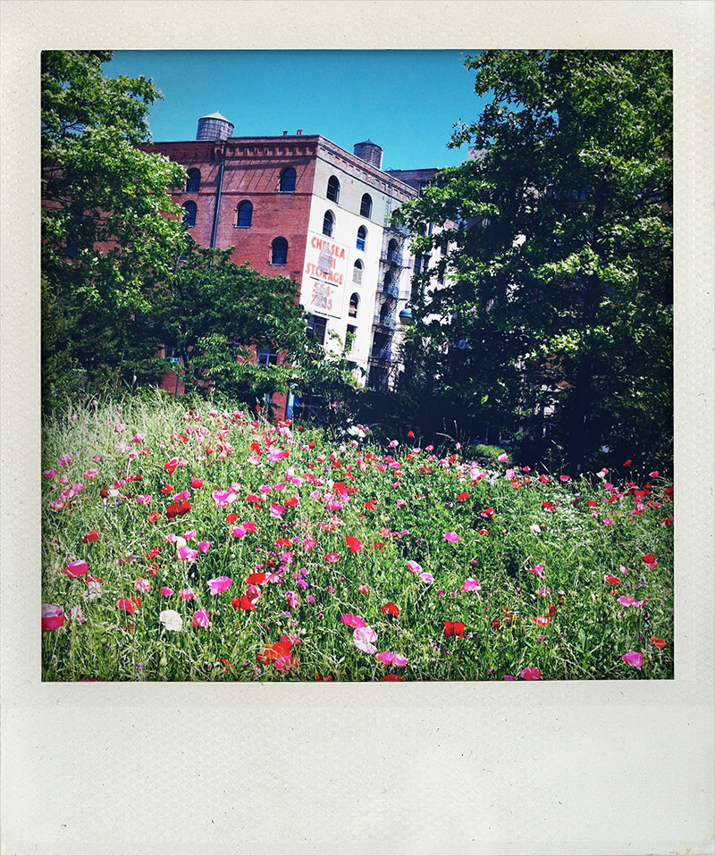 Manhattan-Diary-Polaroid-Fotografie-Chelsea-edition-wagner1972.jpg