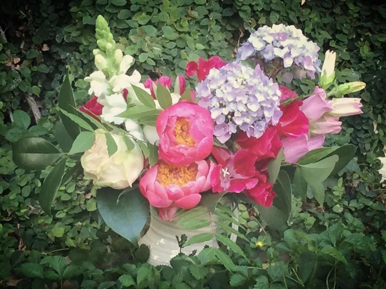 Spring flowers nature garden flowers.jpg