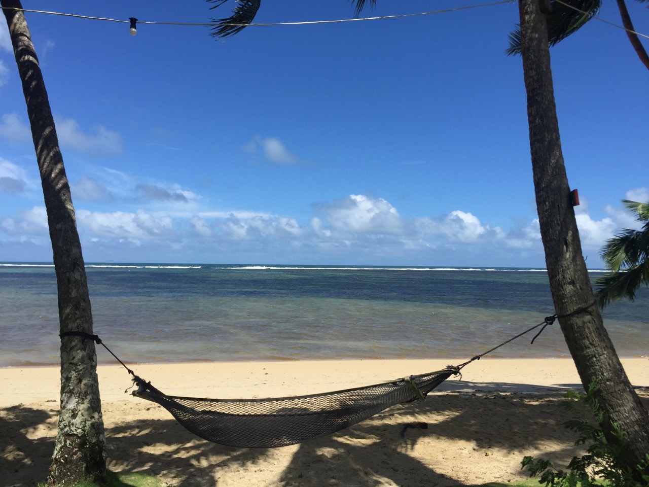 Coral top coast hammock