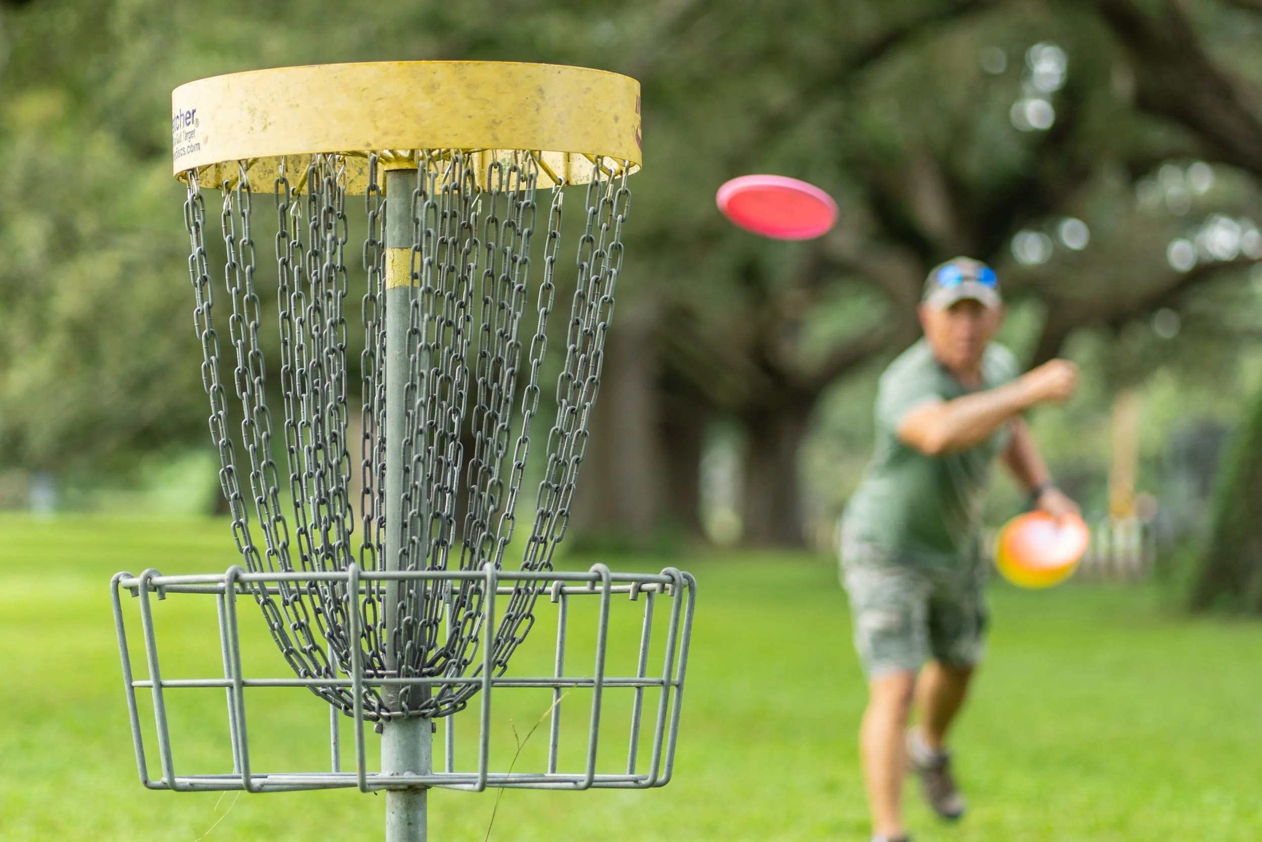 Frisbee Golf (Gillies Creek)
