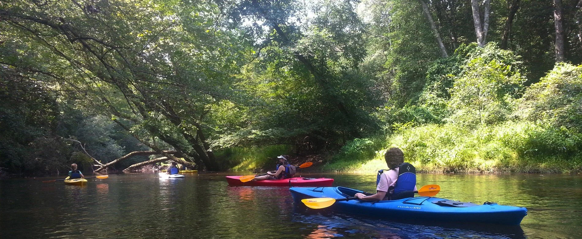 Kayak the Funky Pamunkey