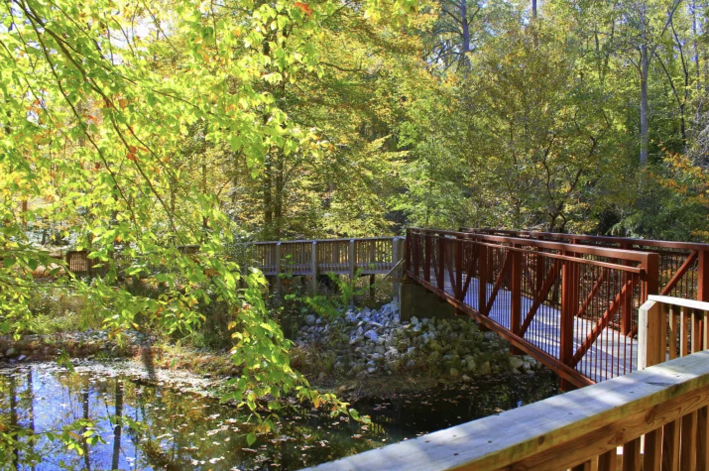Men's Hiking at Pocahontas State Park