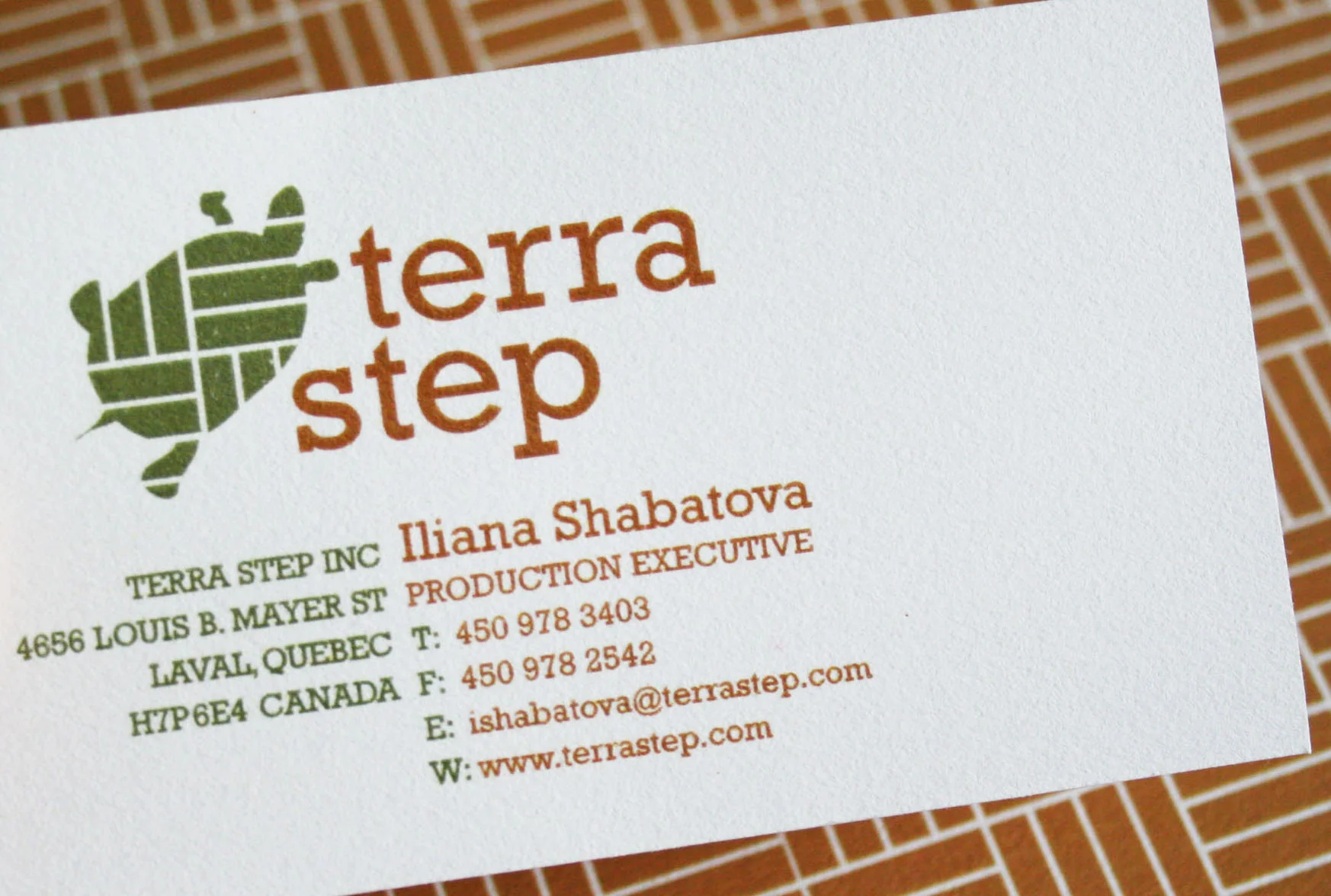 TerraStep Flooring