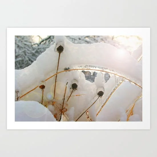 frozen-in-time242231-prints.jpg