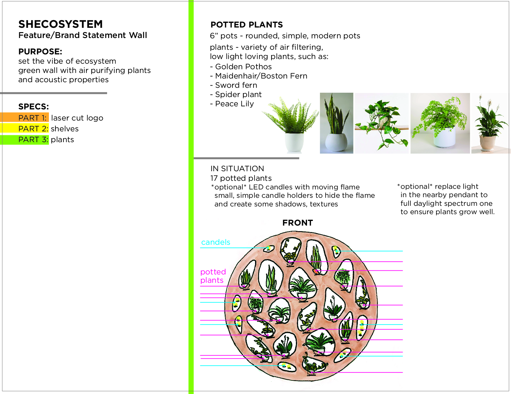 Shecosystem_BrandStatementWall-04.jpg