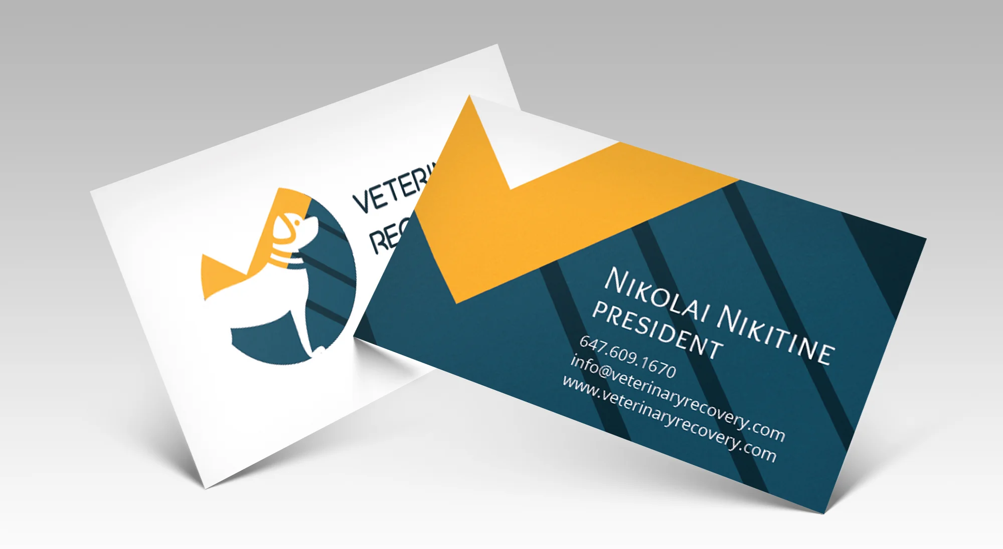 VRS Full Visual Identity Package