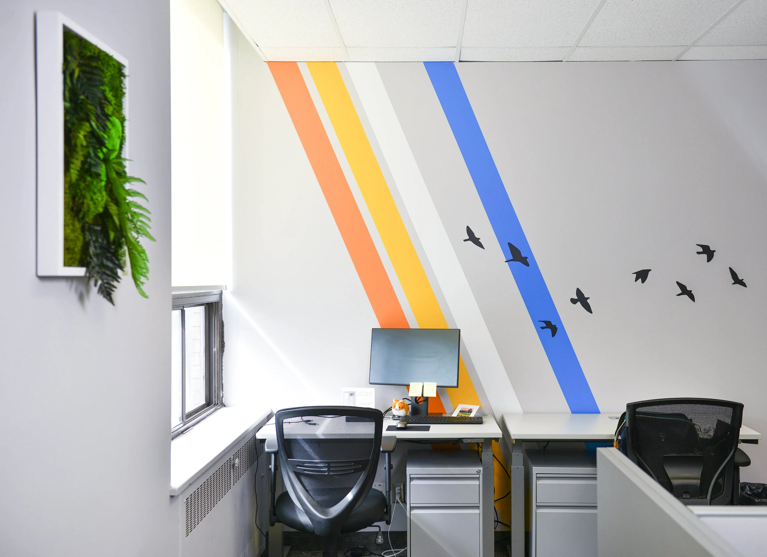 Woodgreen Office Facelift