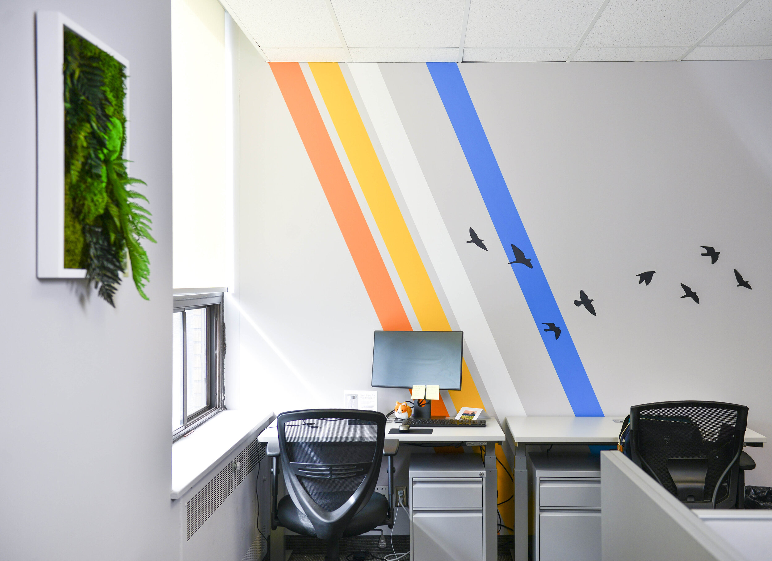 Woodgreen Office Facelift