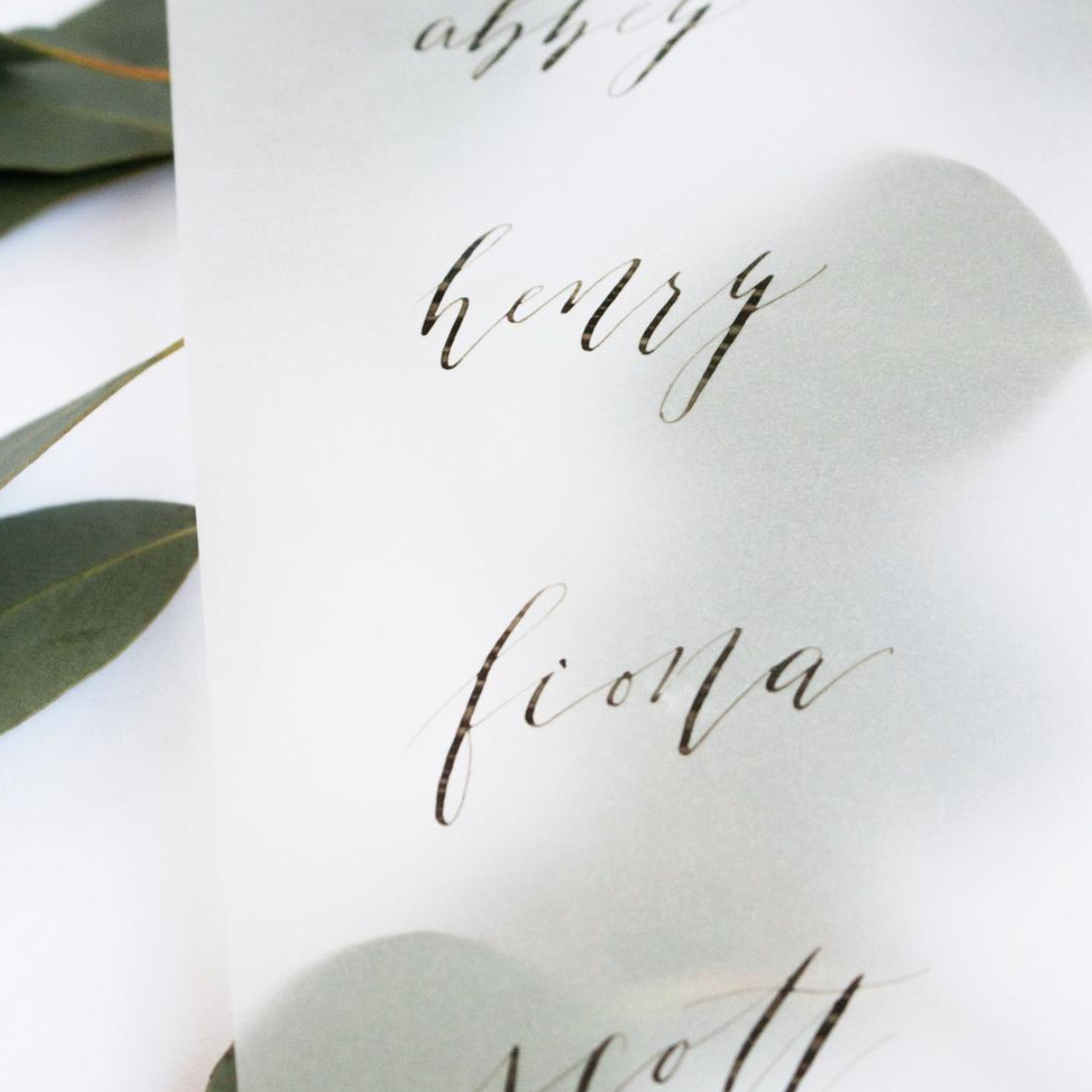 ModernCalligraphy-TrueNorthPaperCo.png