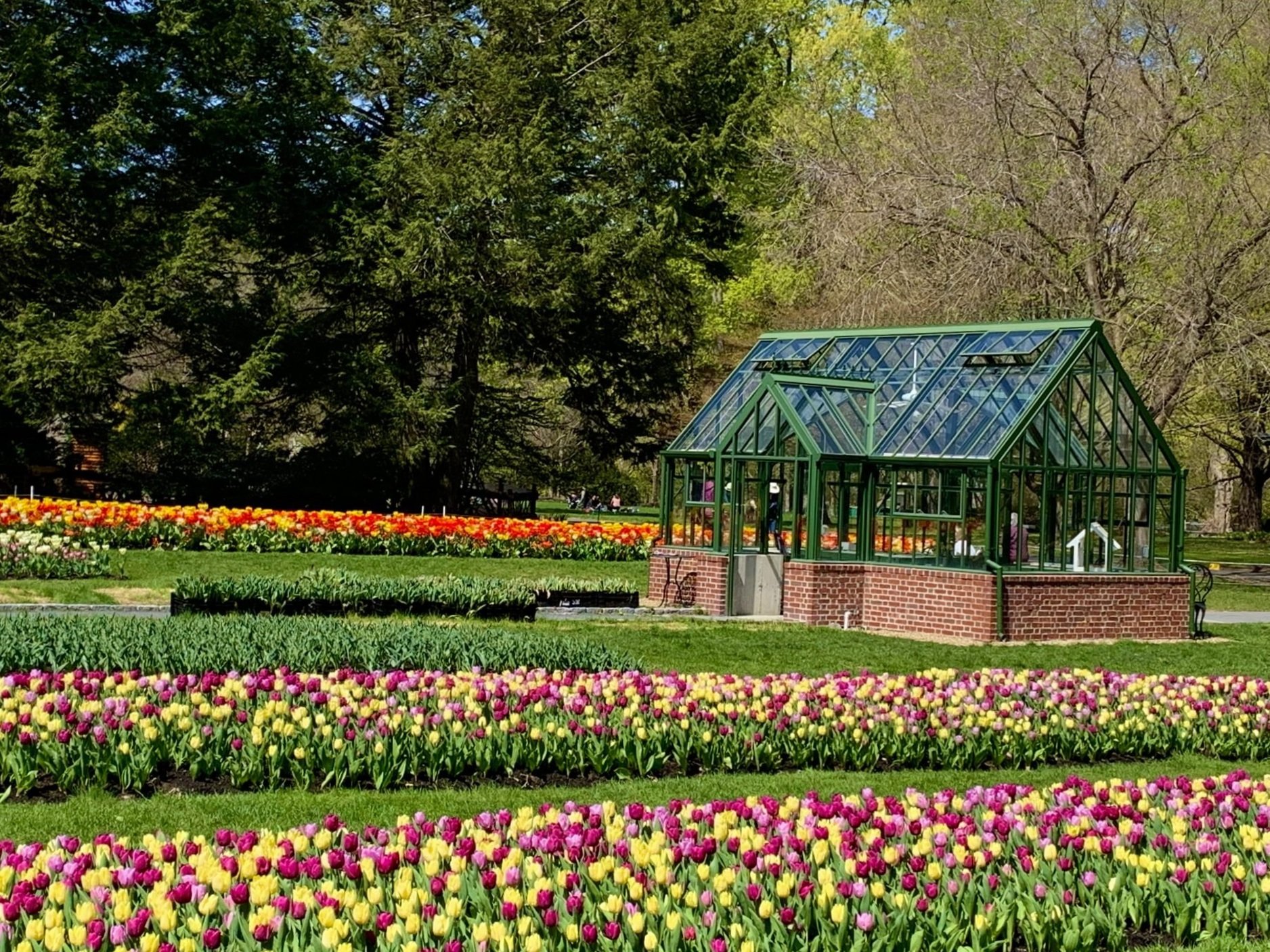 Yoga at the Garden