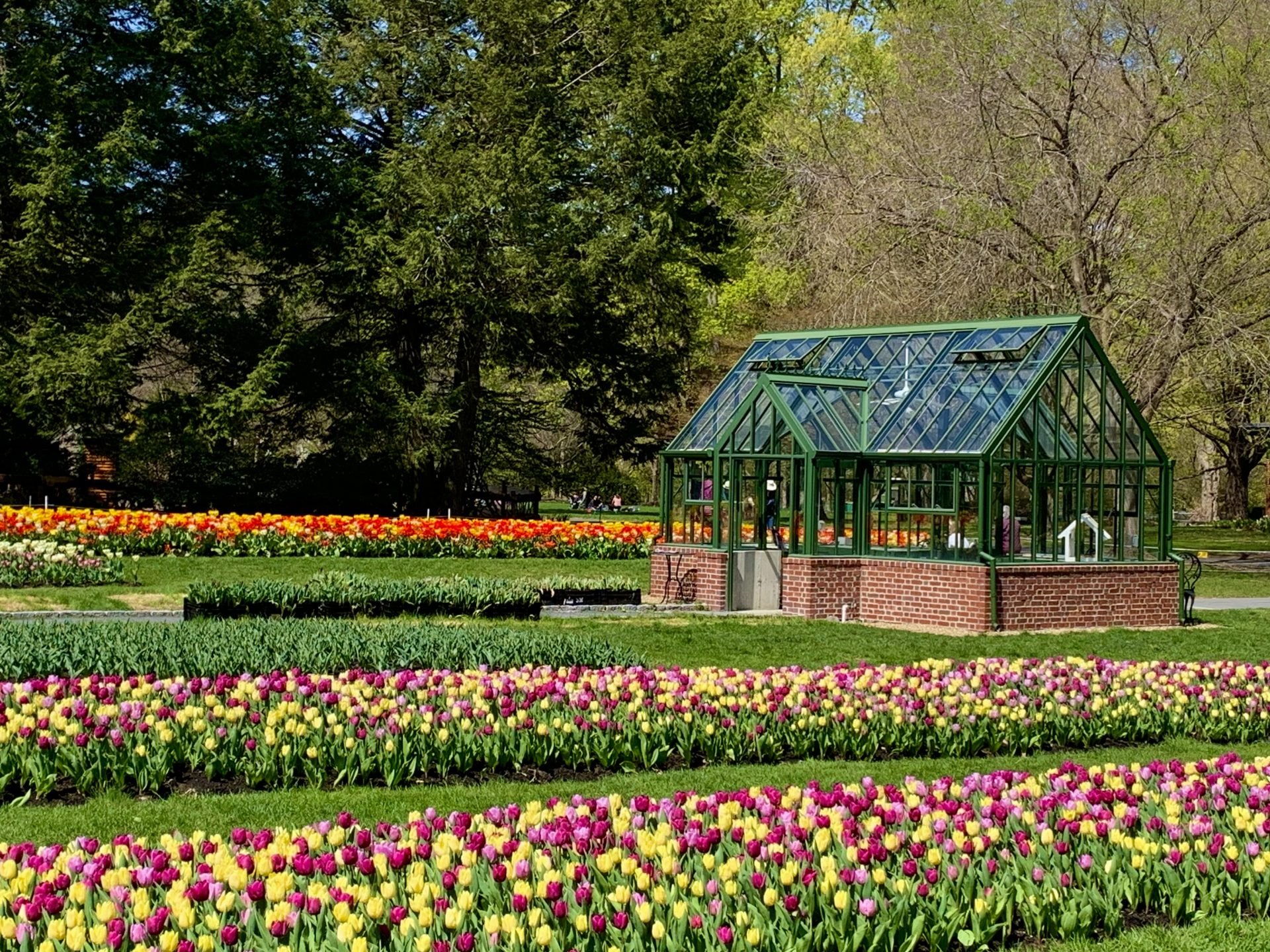 Yoga at the Garden
