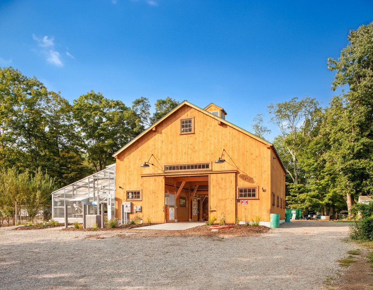 Yoga on the Farm