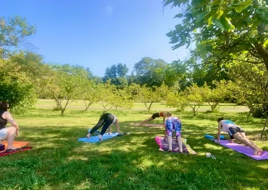Yoga on the Farm