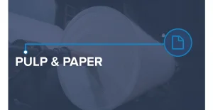 Pulp & Paper
