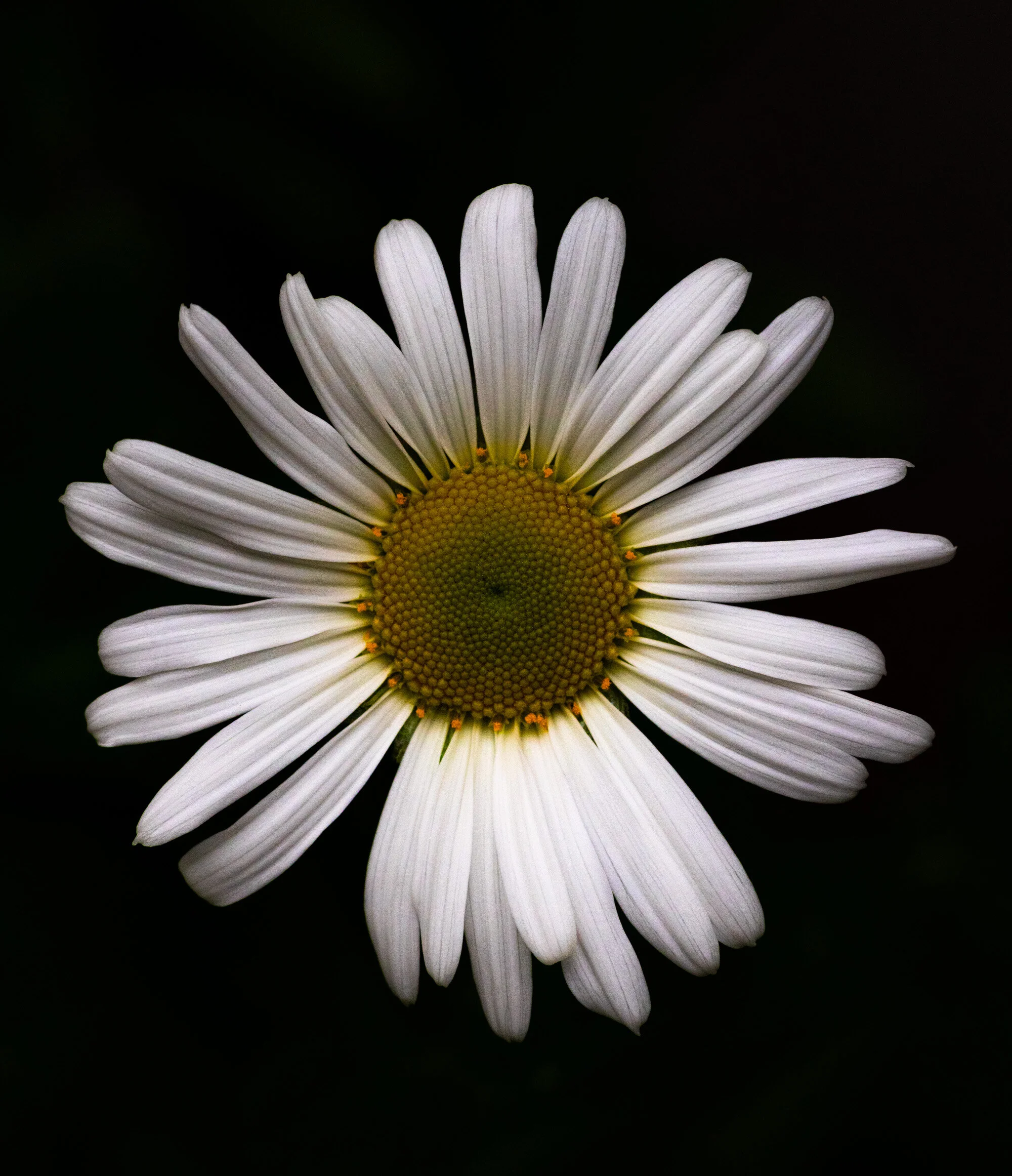 326A7398.jpg