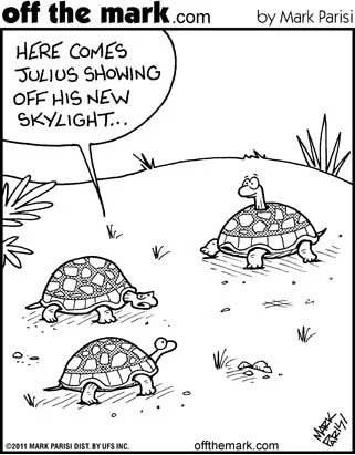 Getting new windows - Funny Home Improvement Cartoon