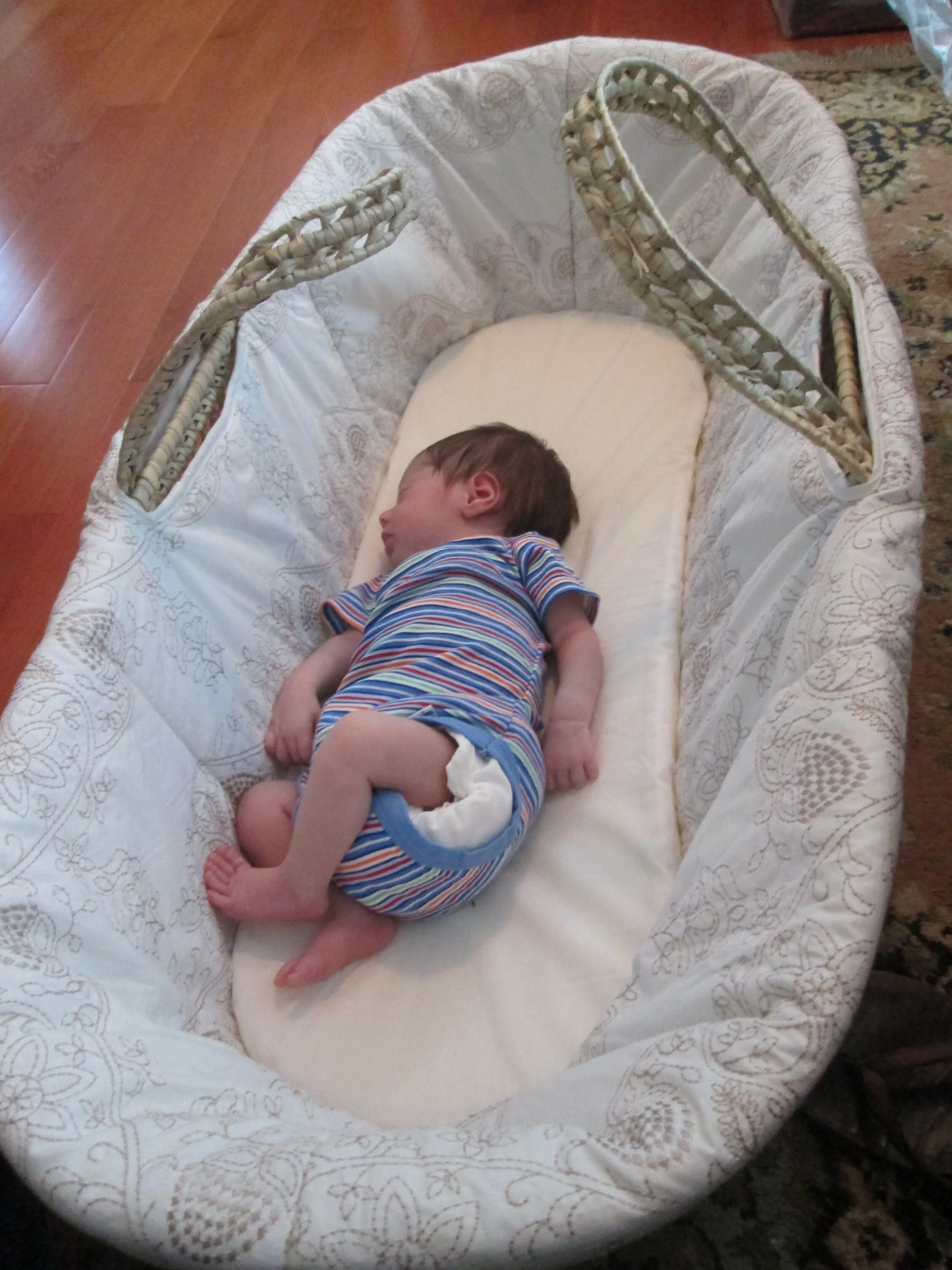 basket like bed for a newborn baby