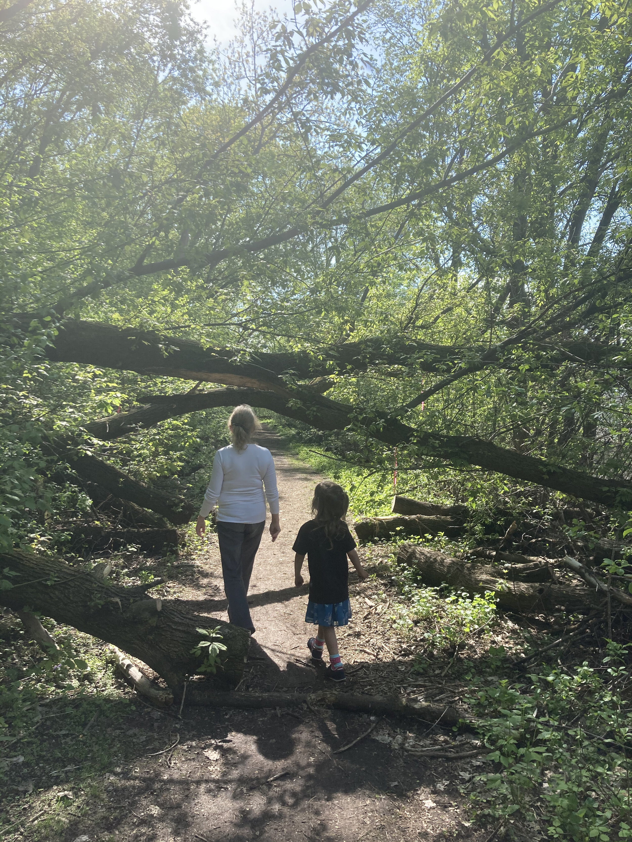 Hiking path along the river