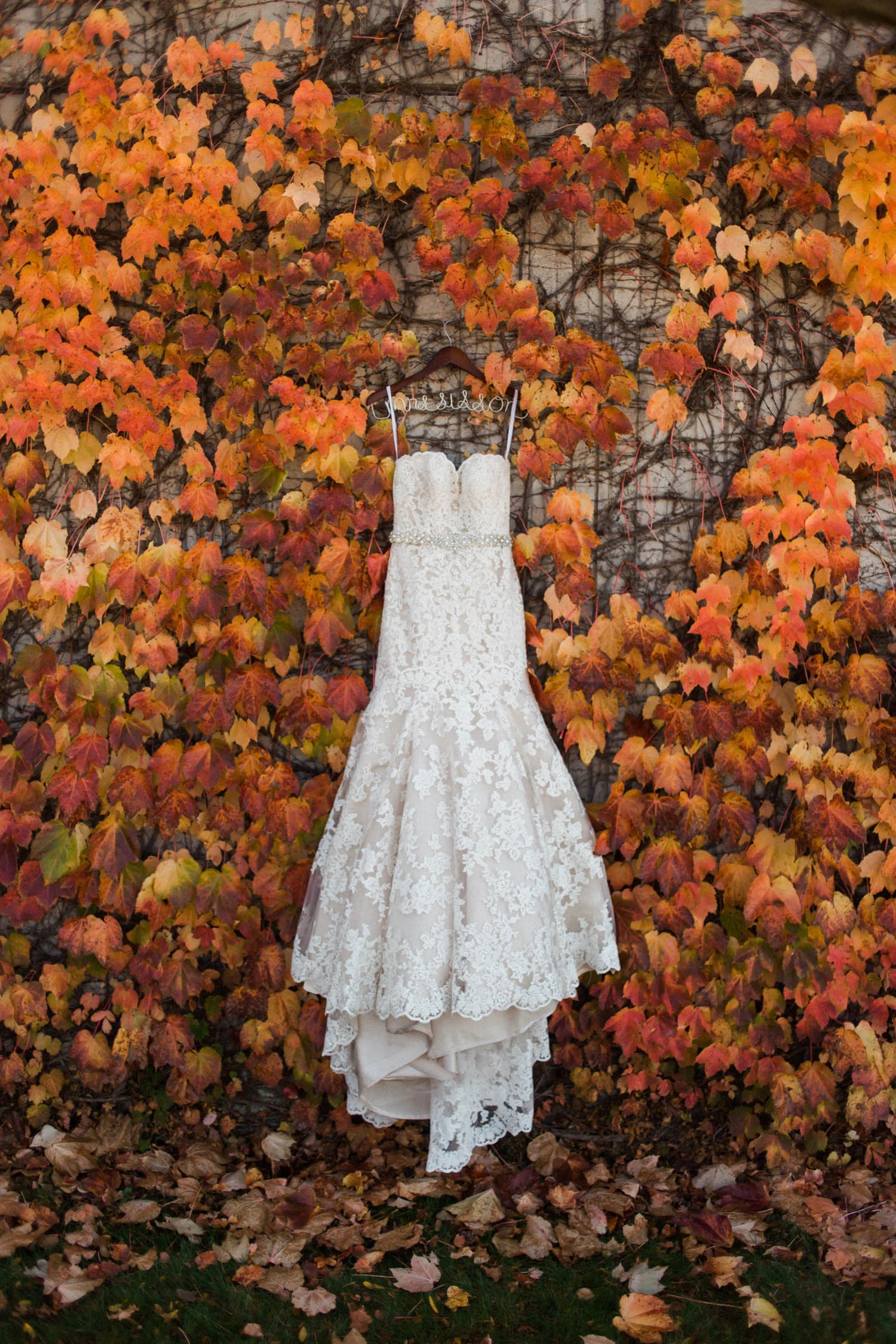 wedding photography mn