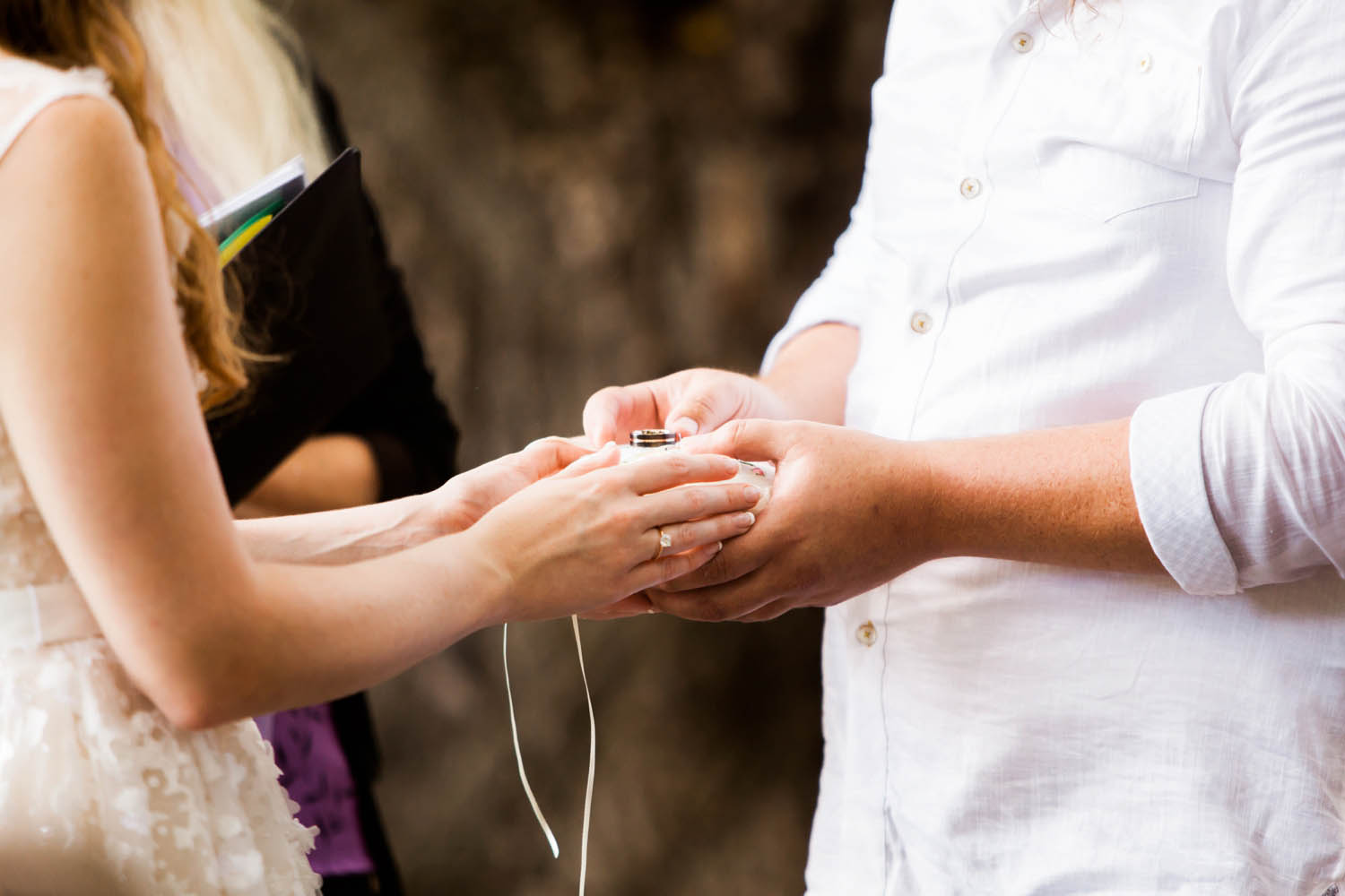 arboretum wedding mn