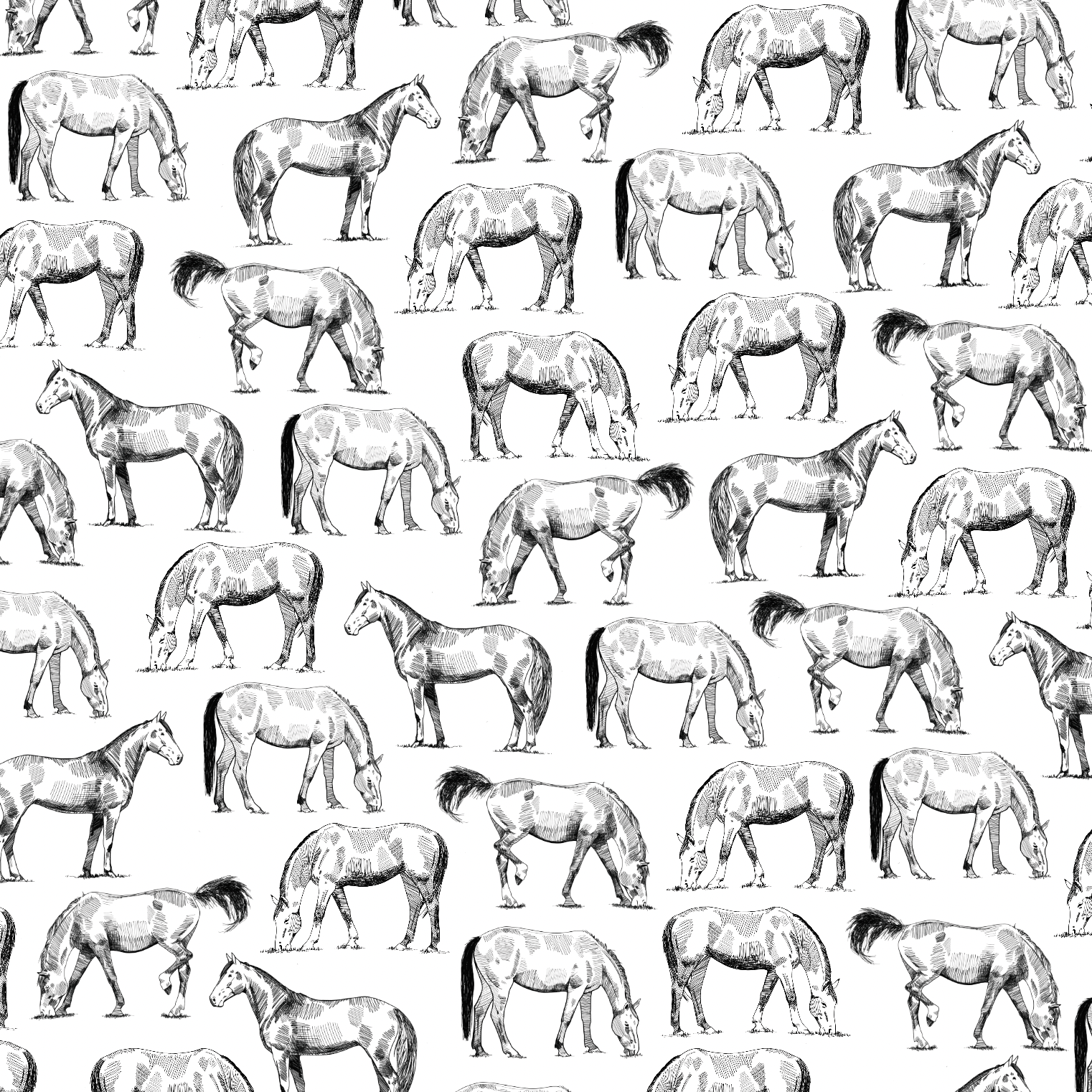  Horse Print for Ariat, S/S 24 