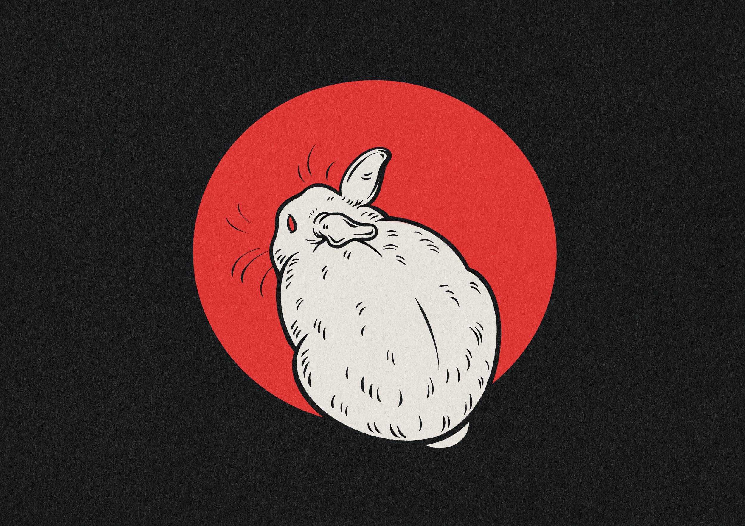   Year of the rabbit , 2023 