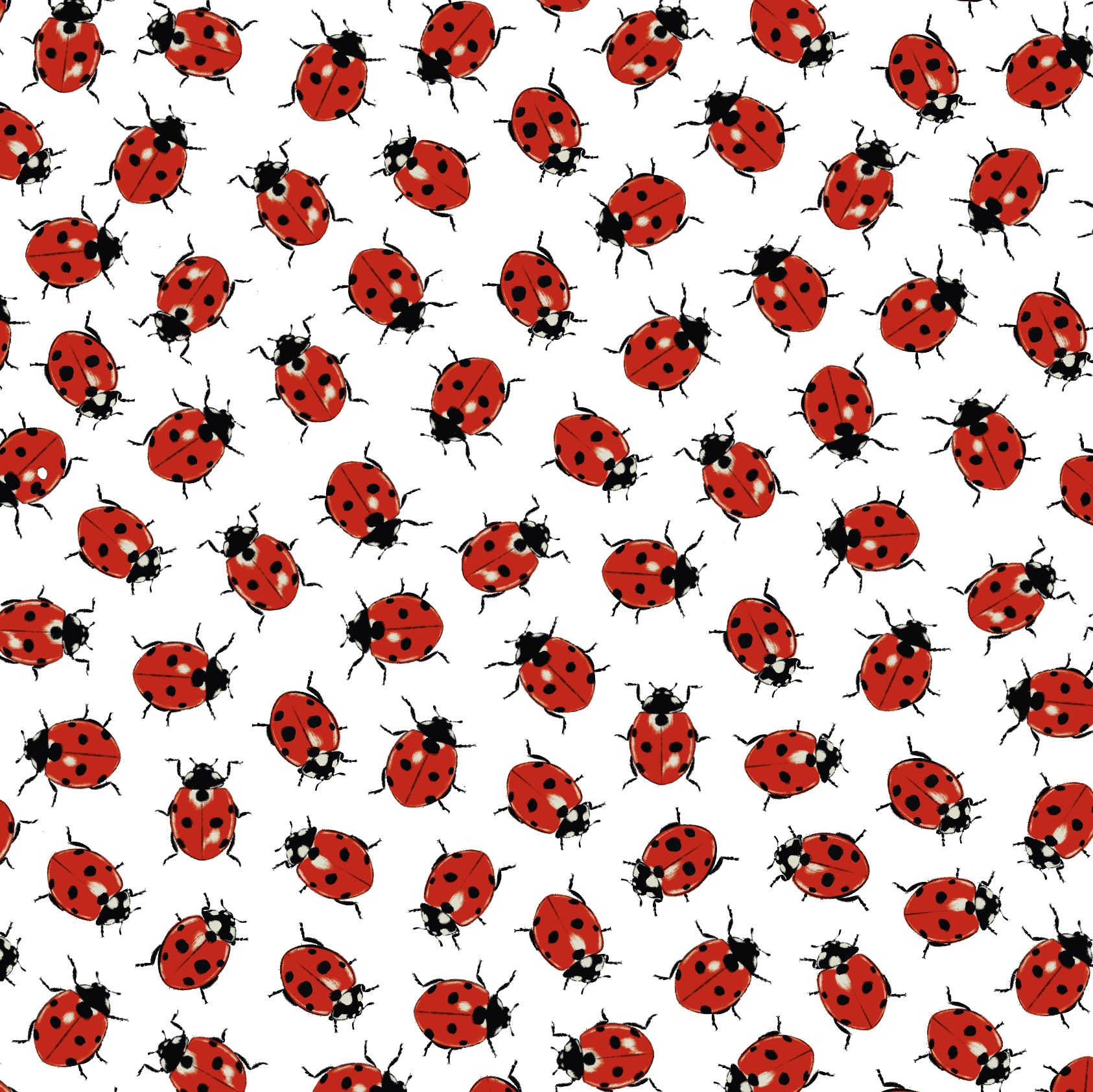  Ladybug print for Ariat, S/S 25 