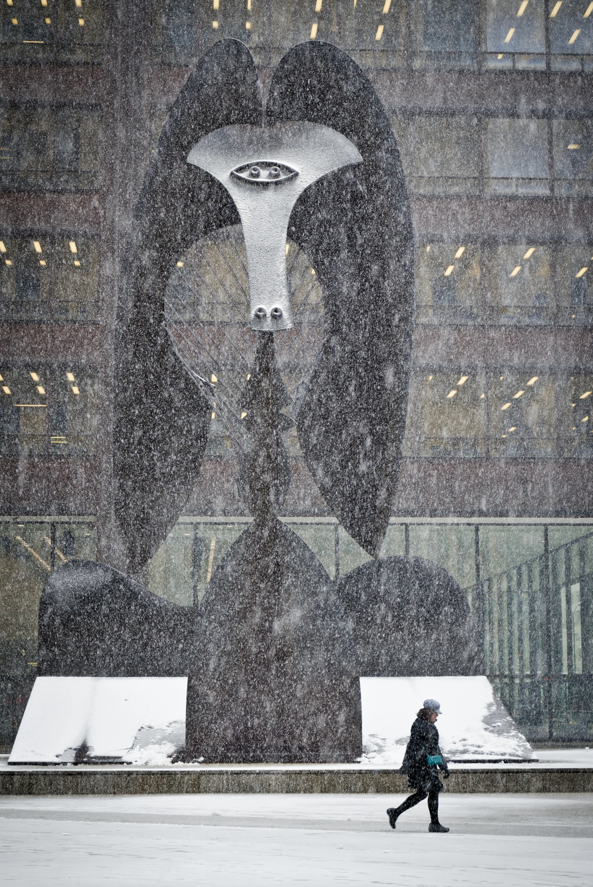 picasso-0961.jpg