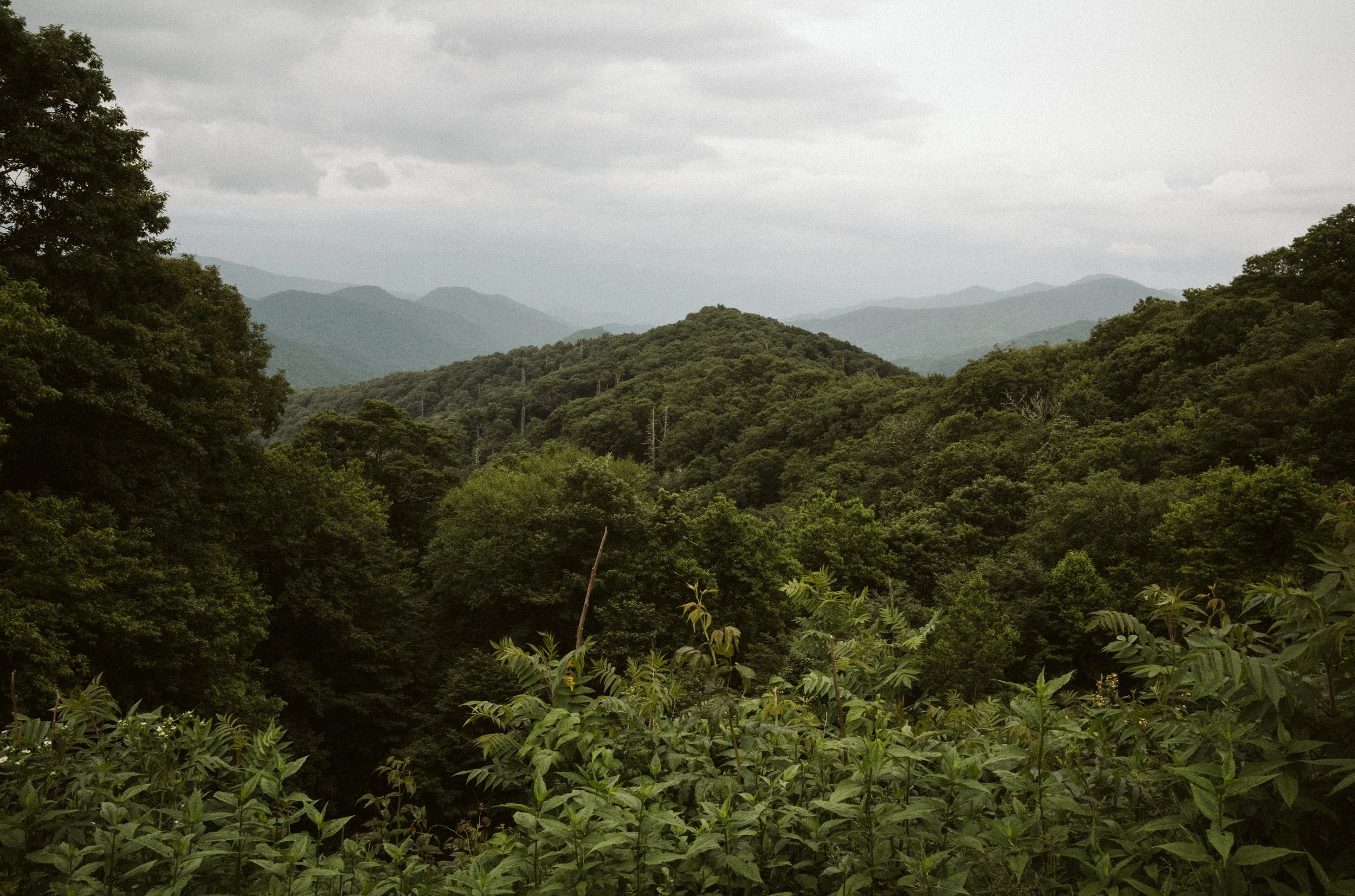 L1007921.jpg